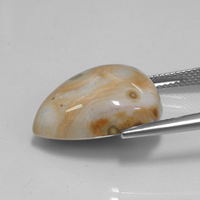 15.02캐럿 천연 멀티컬러 재스퍼, 배 모양, 18.9×16 mm, 불투명체