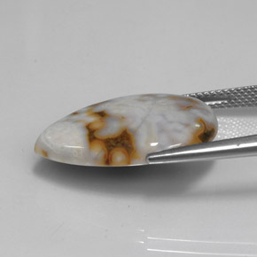 11.87캐럿 천연 멀티컬러 재스퍼, 배 모양, 22.5×16.7 mm, 불투명체