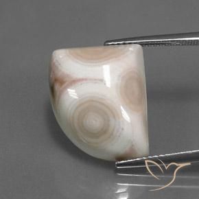 14.17ct 자연스러운 다색 벽옥, 팬시한, 불투명체