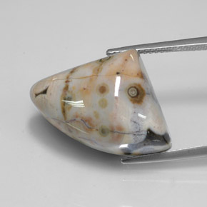 21.44캐럿 천연 멀티컬러 재스퍼, 멋진 모양, 17.5×15.6 mm, 불투명체