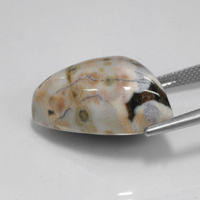 21.44캐럿 천연 멀티컬러 재스퍼, 멋진 모양, 17.5×15.6 mm, 불투명체