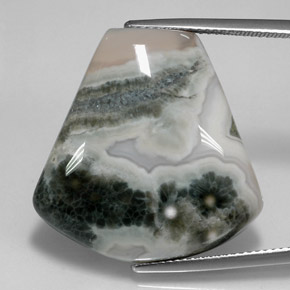 29.53캐럿 천연 다색 벽옥, 멋진 모양, 불투명체