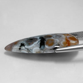 22.85캐럿 천연 멀티컬러 재스퍼, 배 모양, 34.4×17.5 mm, 투명한