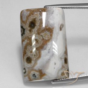 23.24ct 자연스러운 다색 벽옥, 바게트, 불투명체