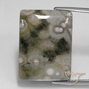 23.21ct 자연스러운 다색 벽옥, 바게트, 불투명체