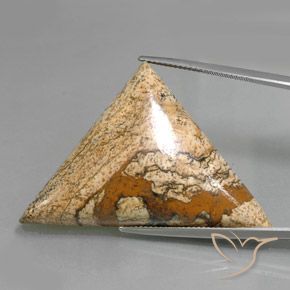 53.88ct 자연스러운 다색 벽옥, 일조, 불투명체