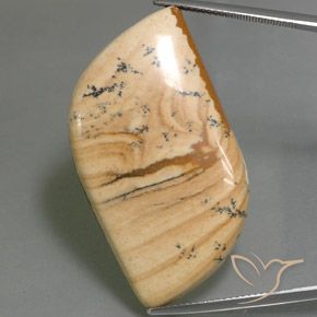 45.75ct 자연스러운 다색 벽옥, 팬시한, 불투명체