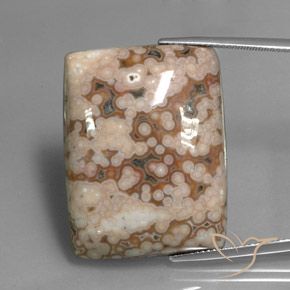 47.73ct 자연스러운 다색 벽옥, 바게트, 불투명체