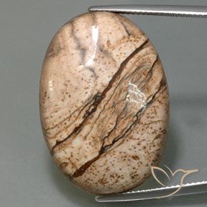 40.47ct 자연스러운 다색 벽옥, 타원형, 불투명체