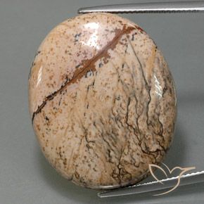 44.28ct 자연스러운 다색 벽옥, 타원형, 불투명체