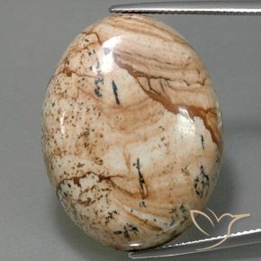 44.54ct 자연스러운 다색 벽옥, 타원형, 불투명체