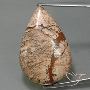 36.58ct 자연스러운 다색 벽옥, 배 모양, 불투명체