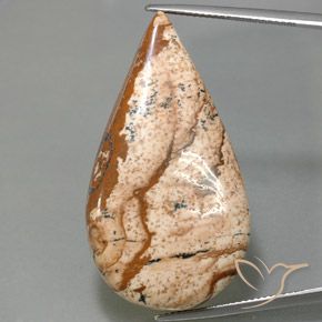 43.77ct 자연스러운 다색 벽옥, 배 모양, 불투명체