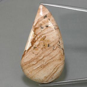 47.27캐럿 천연 멀티컬러 재스퍼, 멋진 모양, 42.7×23.7 mm, 불투명체