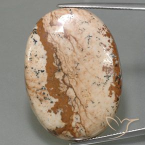 54.96ct 자연스러운 다색 벽옥, 타원형, 불투명체