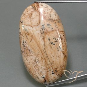 49.05ct 자연스러운 다색 벽옥, 타원형, 불투명체