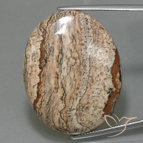 49.58ct 자연스러운 다색 벽옥, 타원형, 불투명체