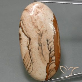44.16ct 자연스러운 다색 벽옥, 타원형, 불투명체