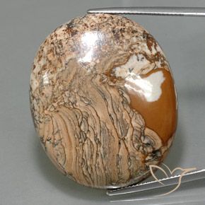 67.93ct 자연스러운 다색 벽옥, 타원형, 불투명체