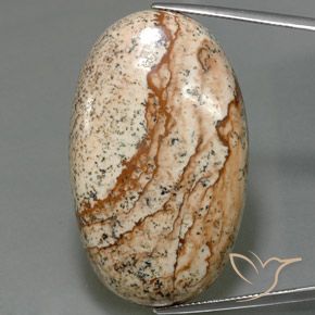 56.03ct 자연스러운 다색 벽옥, 타원형, 불투명체