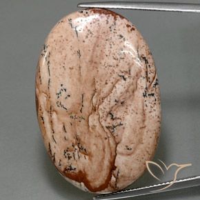 40.50ct 자연스러운 다색 벽옥, 타원형, 불투명체