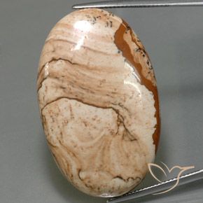 61.25ct 자연스러운 다색 벽옥, 타원형, 불투명체