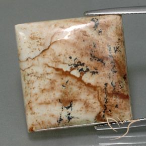 25.13ct 자연스러운 다색 벽옥, 정사각형, 불투명체