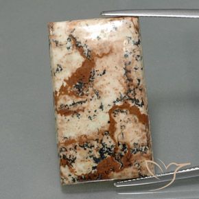 26.28ct 자연스러운 다색 벽옥, 바게트, 불투명체
