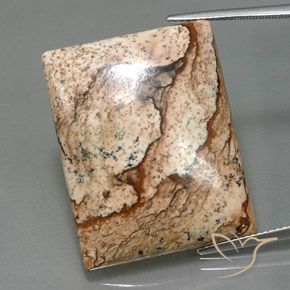 32.44ct 자연스러운 다색 벽옥, 바게트, 불투명체
