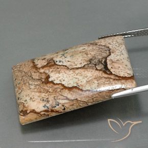 32.44캐럿 천연 다색 벽옥, 바게트, 불투명체