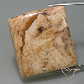 51.28ct 자연스러운 다색 벽옥, 바게트, 불투명체
