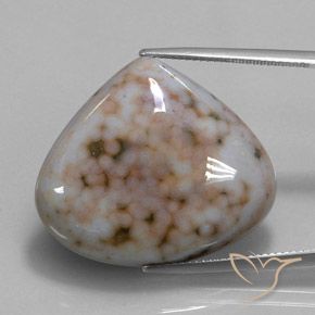 32.82ct 자연스러운 다색 벽옥, 배 모양, 불투명체