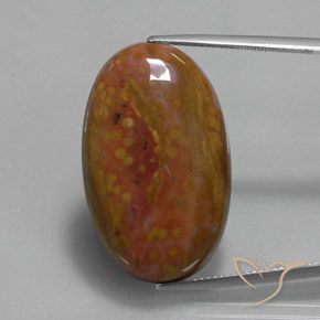 27.84ct 자연스러운 다색 벽옥, 타원형, 불투명체