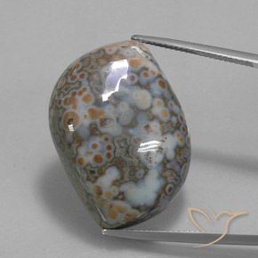45.73ct 자연스러운 다색 벽옥, 팬시한, 불투명체