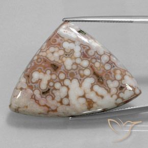 48.51ct 자연스러운 다색 벽옥, 일조, 불투명체