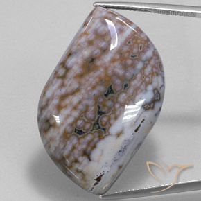 50.91ct 자연스러운 다색 벽옥, 팬시한, 불투명체