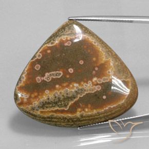 41.62ct 자연스러운 다색 벽옥, 배 모양, 불투명체