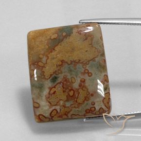 36.10ct 자연스러운 다색 벽옥, 바게트, 불투명체