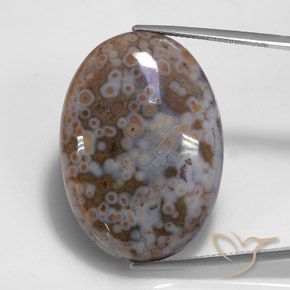 43.68ct 자연스러운 다색 벽옥, 타원형, 불투명체