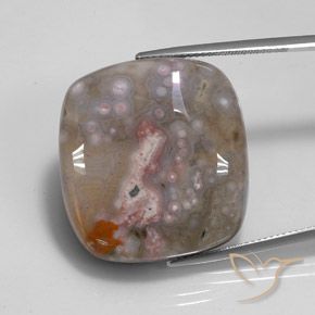 48.00ct 자연스러운 다색 벽옥, 방석, 불투명체