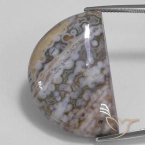 30.93ct 자연스러운 다색 벽옥, 팬시한, 불투명체