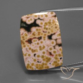 20.83ct 자연스러운 다색 벽옥, 바게트, 불투명체