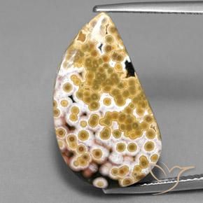 11.97ct 자연스러운 다색 벽옥, 팬시한, 불투명체