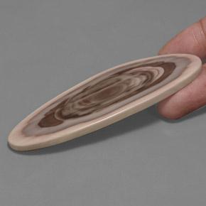 112.10캐럿 천연 멀티컬러 재스퍼, 멋진 모양, 86.5×31 mm, 불투명체