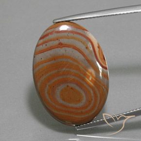 12.49ct 자연스러운 다색 벽옥, 타원형, 불투명체