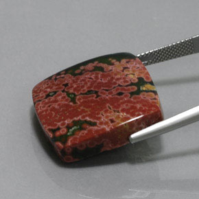 31.23캐럿 천연 다색 벽옥, 쿠션 컷, 불투명체