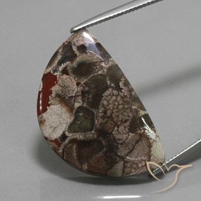 20.05ct 자연스러운 다색 벽옥, 팬시한, 불투명체