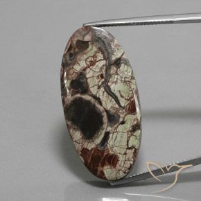 23.72ct 자연스러운 다색 벽옥, 타원형, 불투명체