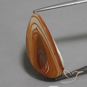 16.24ct 자연스러운 다색 벽옥, 팬시한, 불투명체