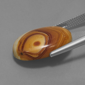 16.29캐럿 천연 멀티컬러 재스퍼, 타원형 컷, 22.2×17.7 mm, 불투명체